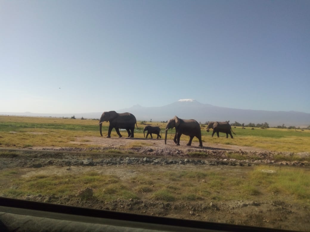 Amboseli Camping Road Safari