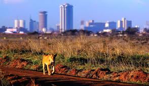 Nairobi City Excursions And Short Tours