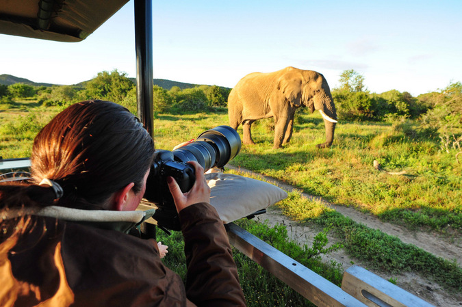 Photographic Safari | Wildlife Photography | Kenya Safaris