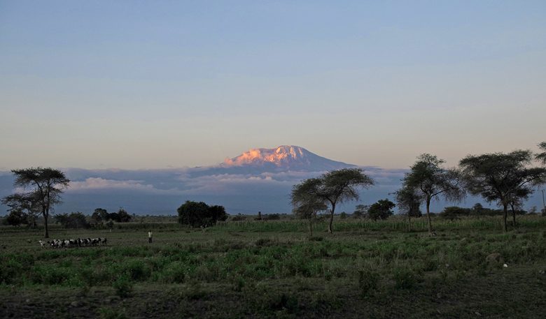 Mt. Kenya and Mt. Kilimanjaro climb